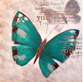 Groenblauwe vlinder breedte x hoogte in cm: 100 x 100 (41)
