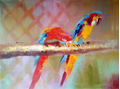 Veelkleurige papegaaien breedte x hoogte in cm: 120 x 90 (73)