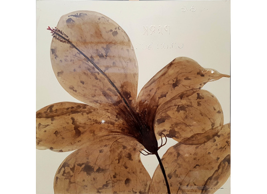 Glimmend herfstblad breedte x hoogte in cm: 100 x 100 (108)